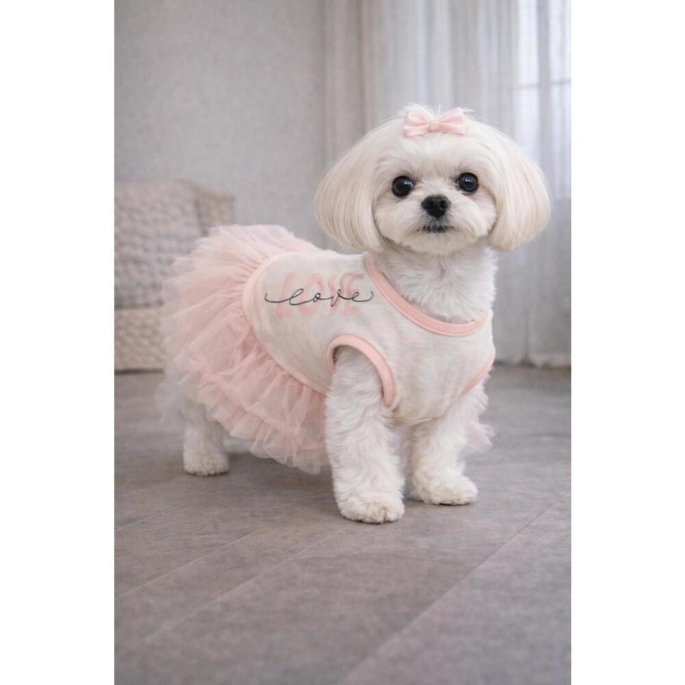 White and Pink Dog Ruffle Dress with Tulle Tutu Skirt - Small